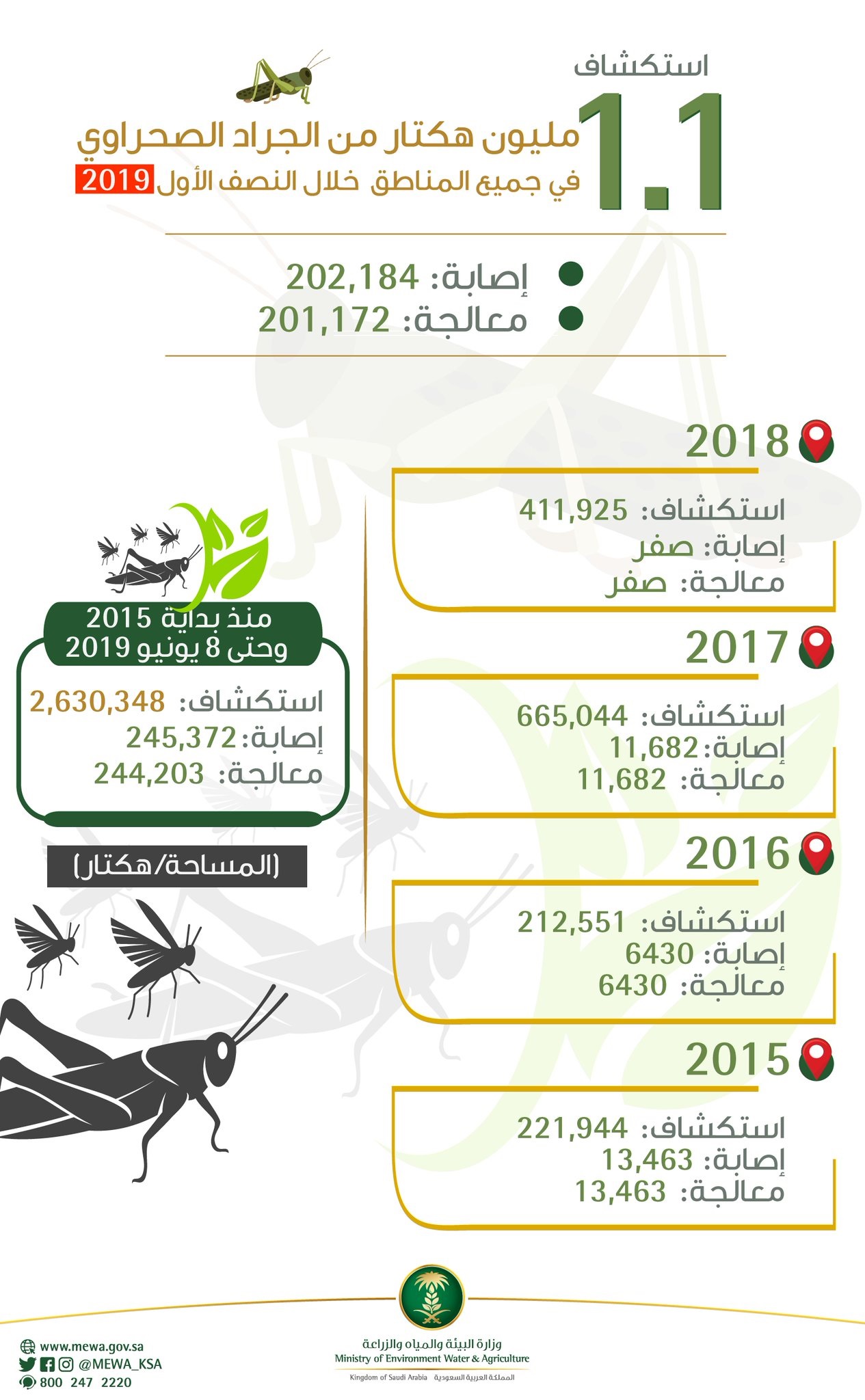 استكشاف 1.1 مليون هيكتار من الجراد الصحراوي في جميع مناطق المملكة خلال النصف الأول من 2019